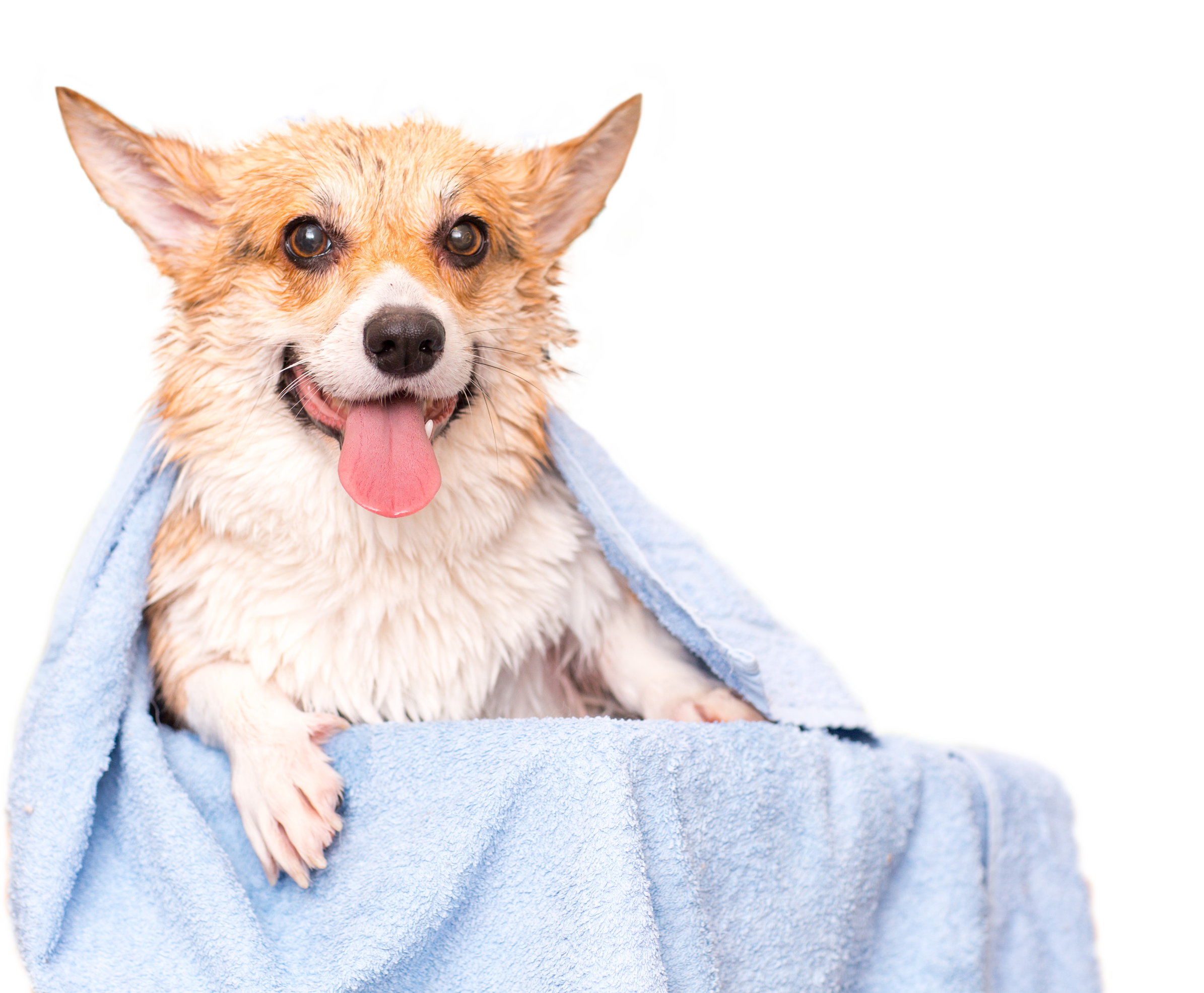 Sabonete Sarnicida Fungicida